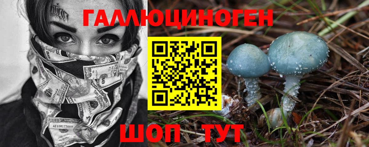 Псилоцибиновые грибы MAGIC MUSHROOMS  Вход с VPN  Кулебаки 